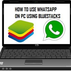 how to use whatsapp on pc using bluestacks