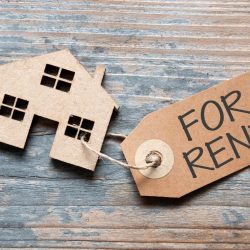 Invest in Rental Properties